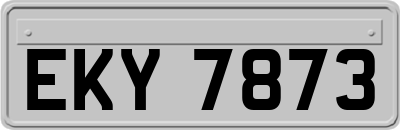 EKY7873