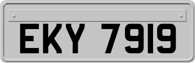 EKY7919