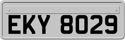 EKY8029