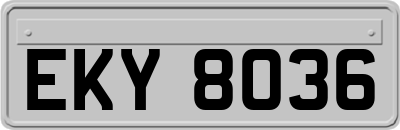 EKY8036