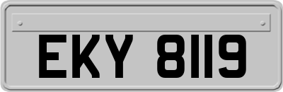 EKY8119