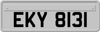 EKY8131