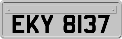 EKY8137