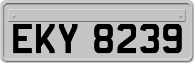EKY8239
