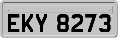 EKY8273