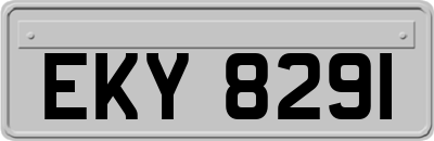 EKY8291