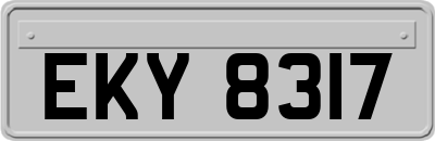 EKY8317