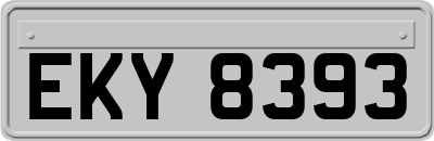 EKY8393