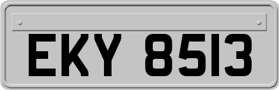 EKY8513
