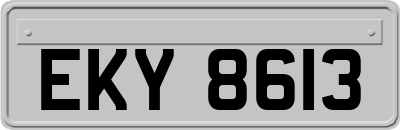 EKY8613