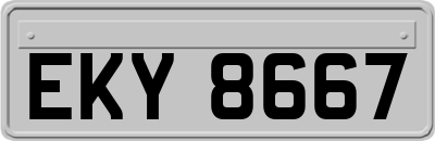 EKY8667