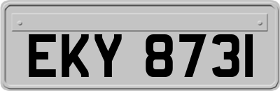 EKY8731