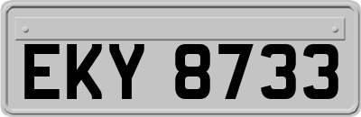EKY8733