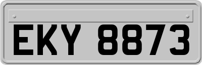 EKY8873