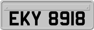EKY8918