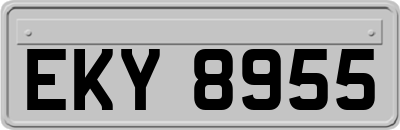 EKY8955