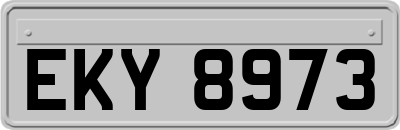 EKY8973