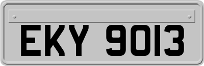 EKY9013
