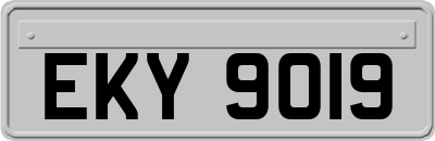 EKY9019