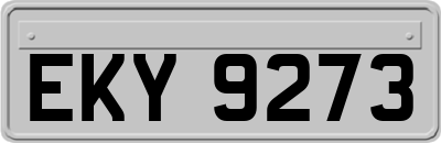 EKY9273