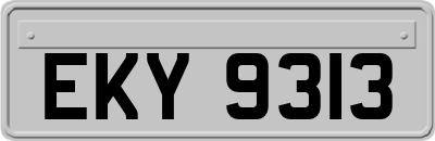 EKY9313