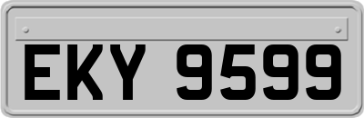 EKY9599