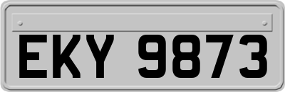 EKY9873