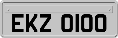EKZ0100