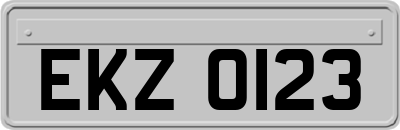 EKZ0123