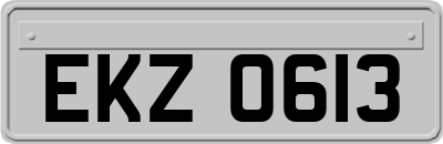 EKZ0613