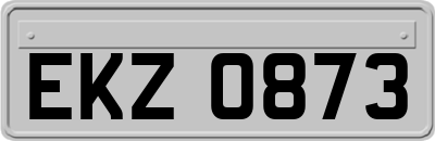 EKZ0873