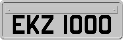EKZ1000
