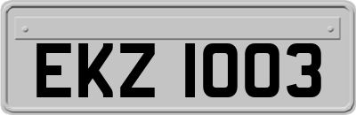 EKZ1003