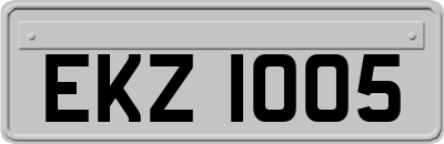 EKZ1005