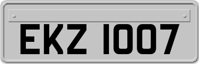 EKZ1007