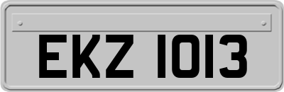EKZ1013