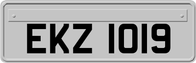 EKZ1019