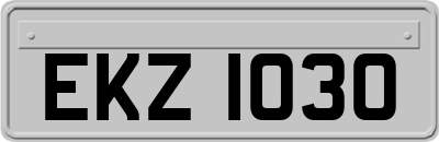 EKZ1030