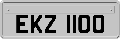 EKZ1100
