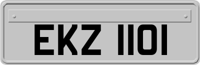 EKZ1101