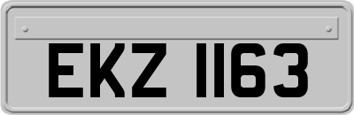 EKZ1163