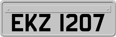 EKZ1207
