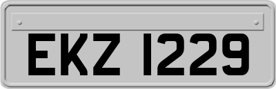 EKZ1229