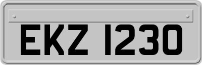EKZ1230