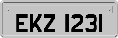 EKZ1231