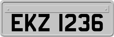 EKZ1236