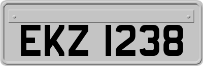EKZ1238