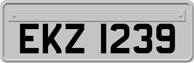 EKZ1239