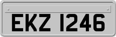 EKZ1246