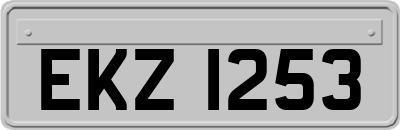 EKZ1253
